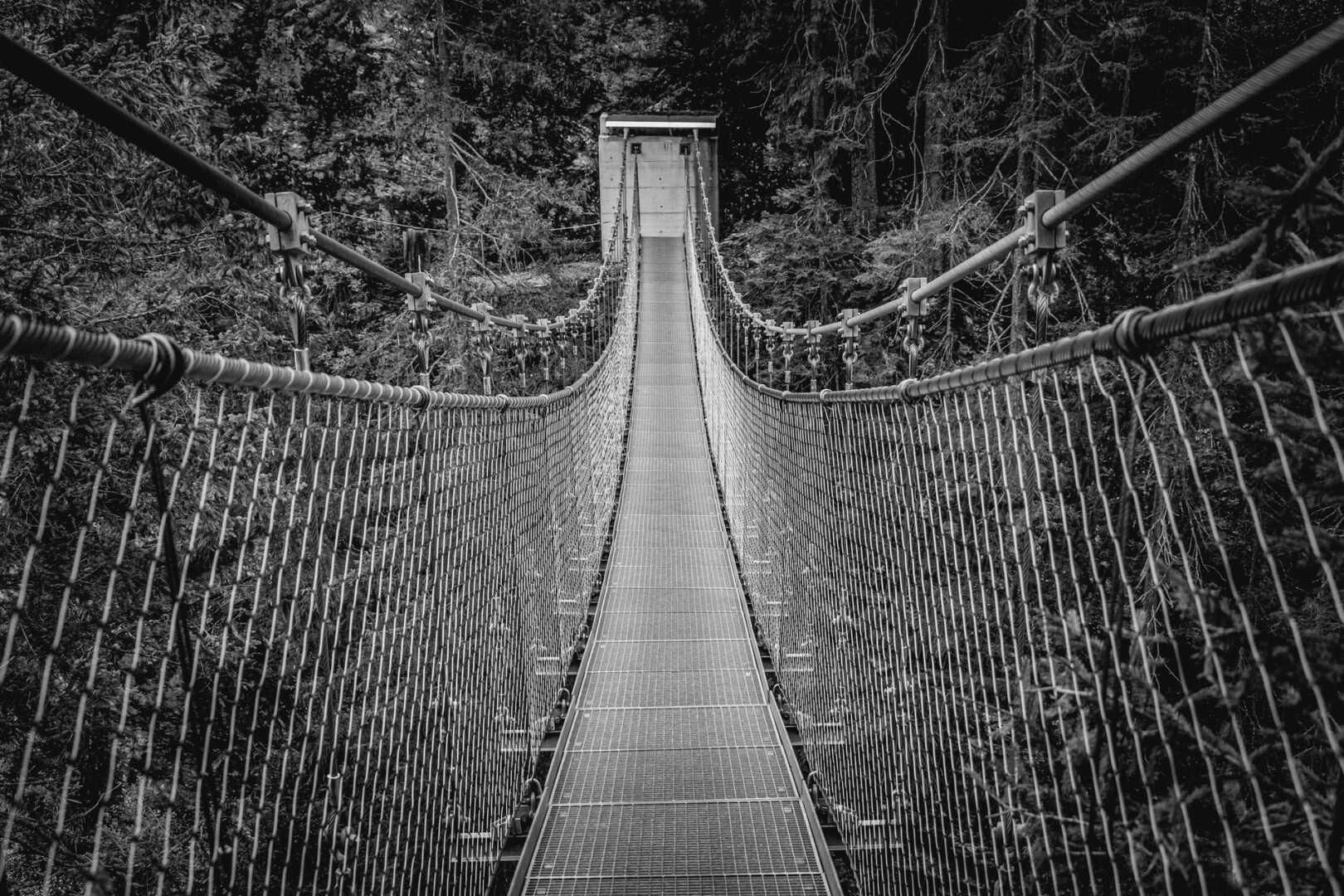 bridge in forest follow-through